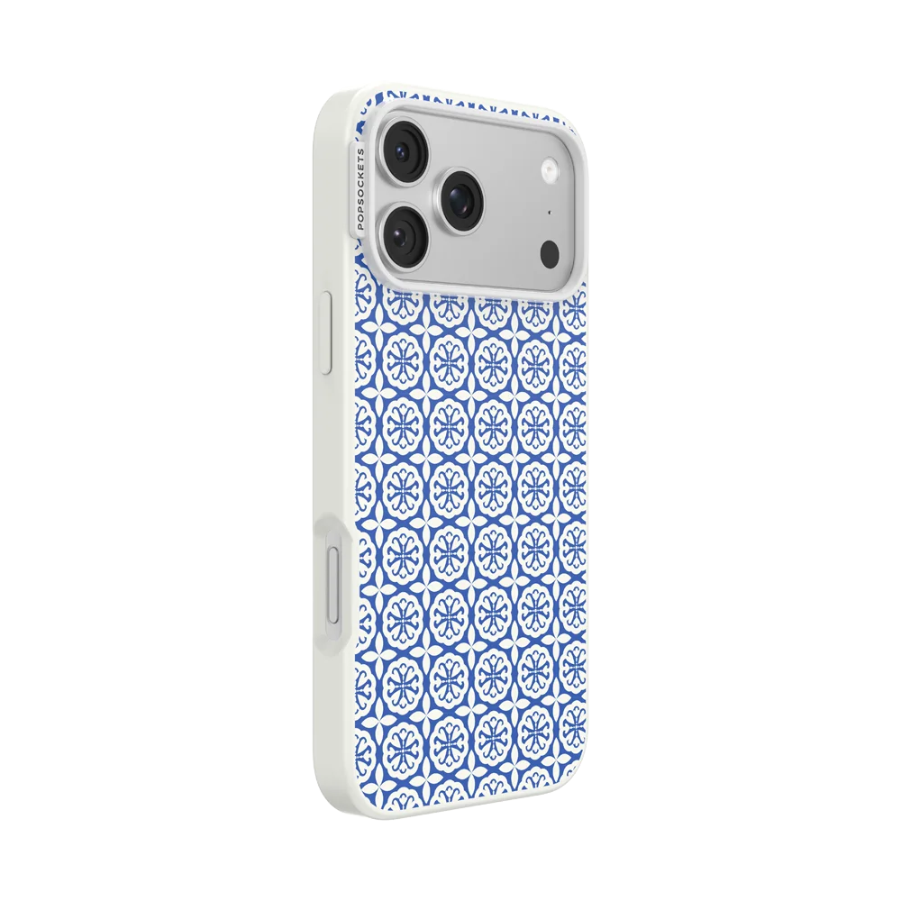 Electric Picks Case