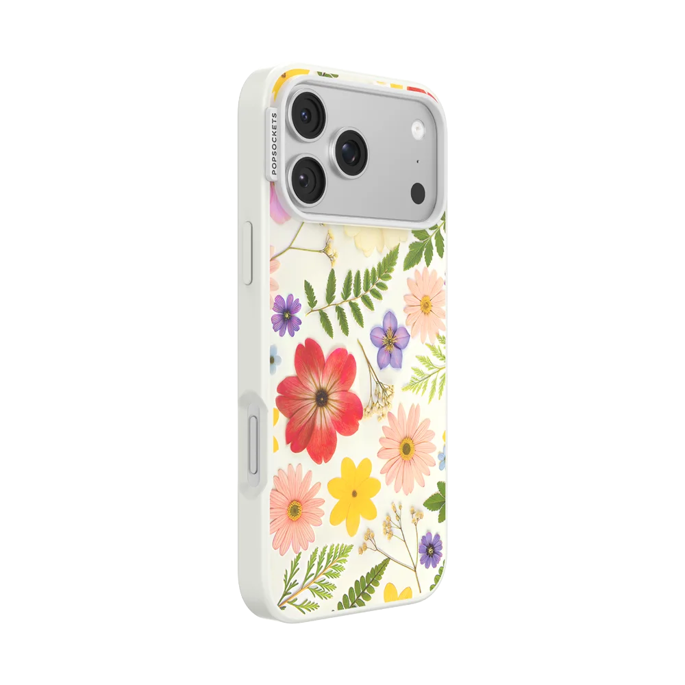 Sunset Oasis Case