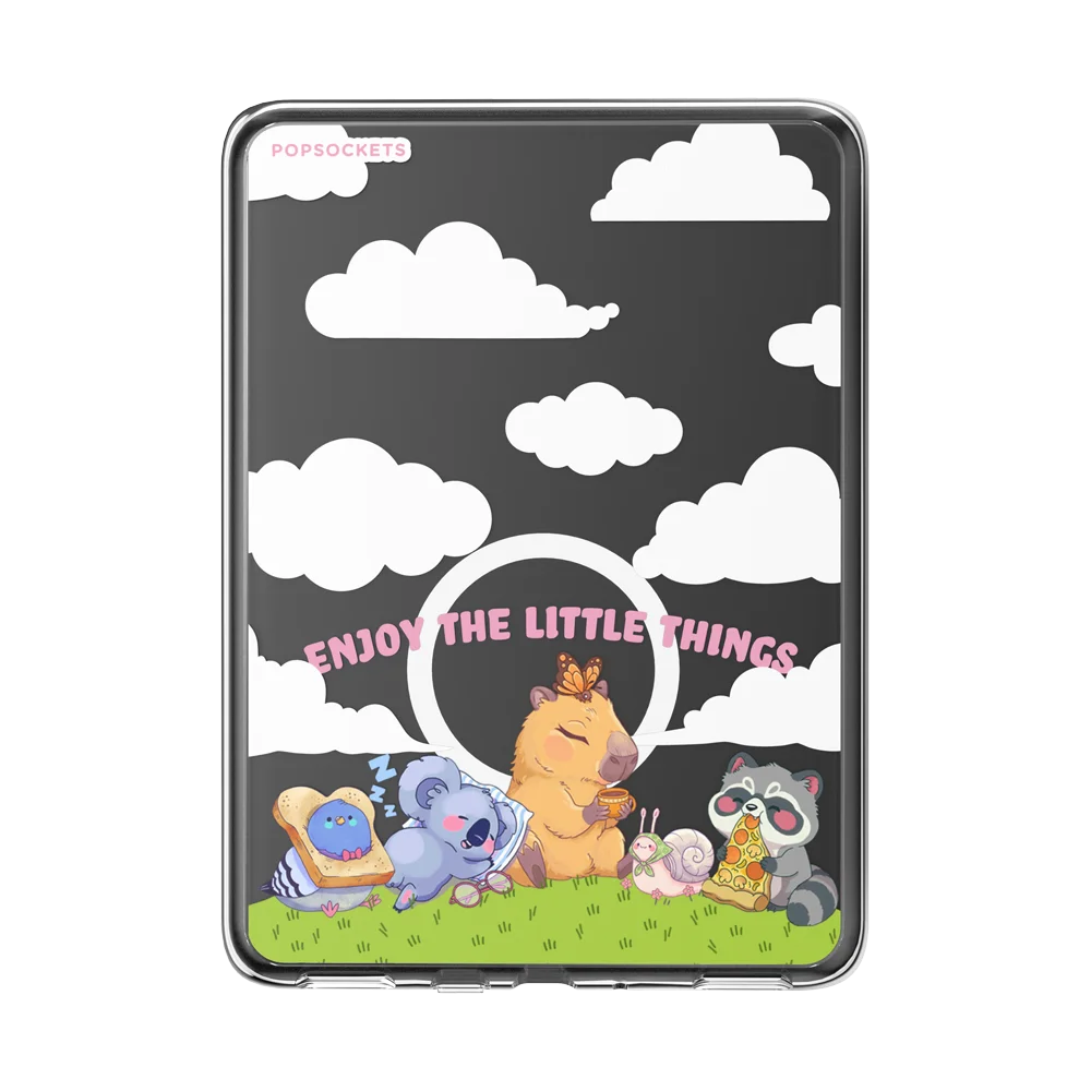 Kindle MagSafe