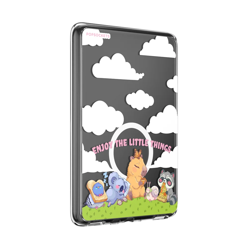 Kindle MagSafe