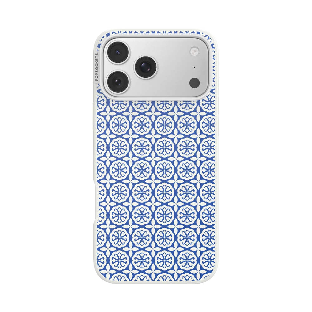 Electric Picks Case