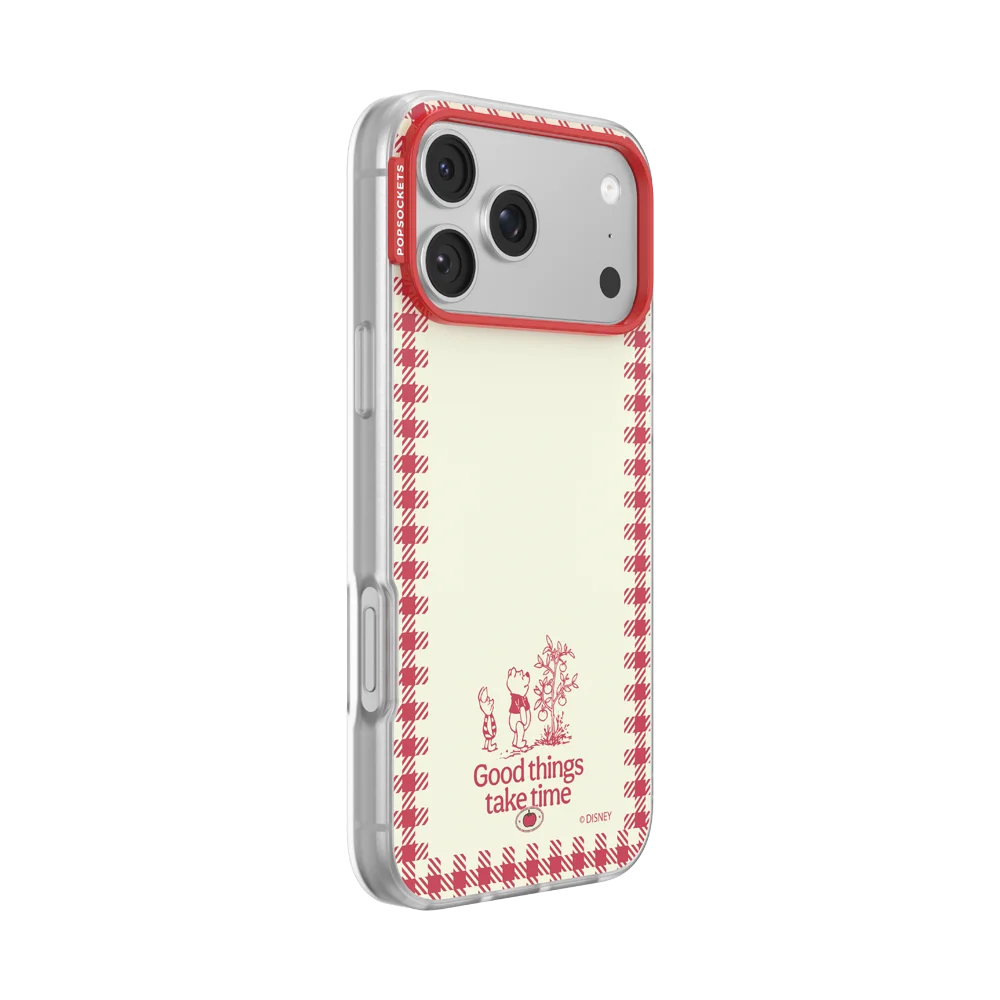 Winnie Pooh Case