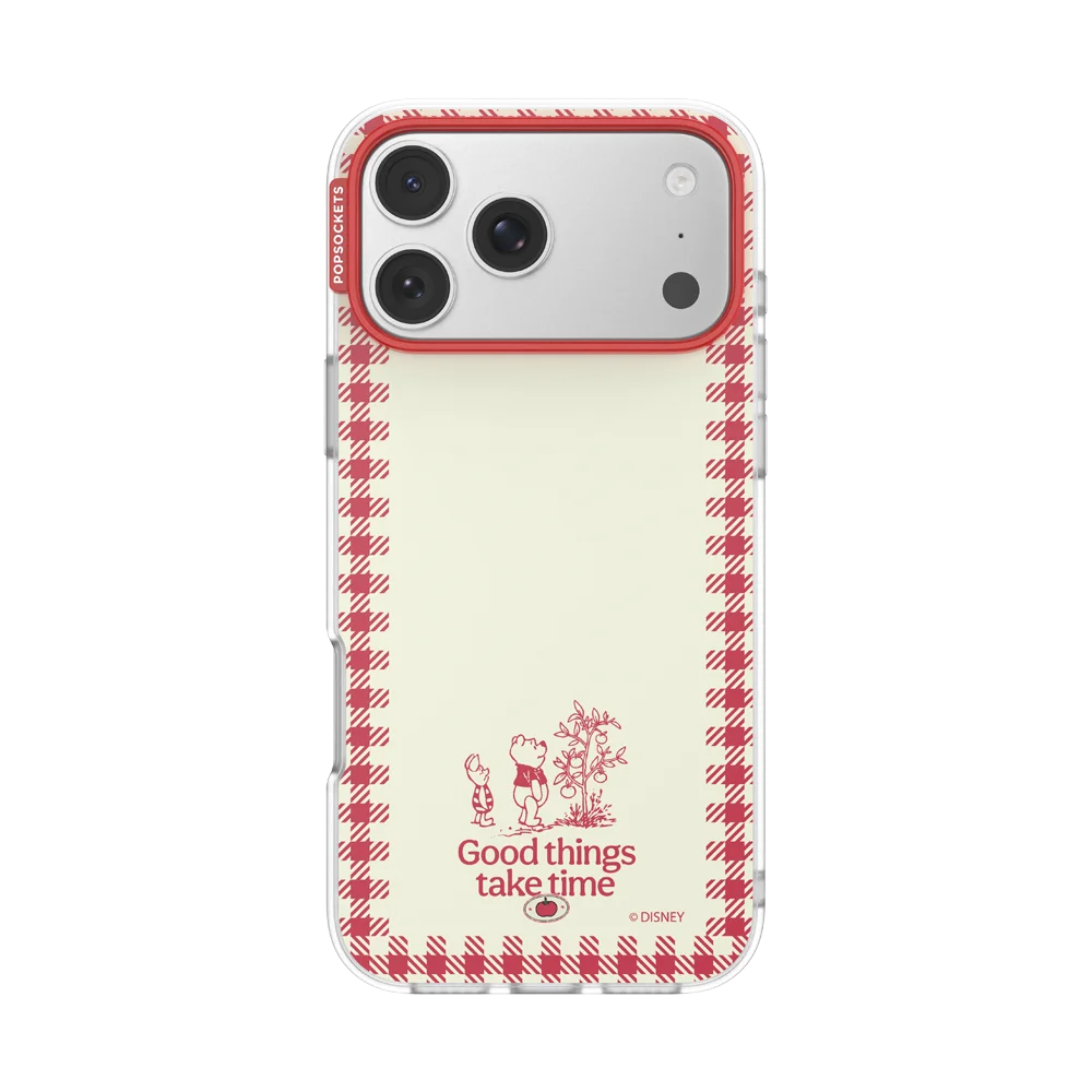 Winnie Pooh Case